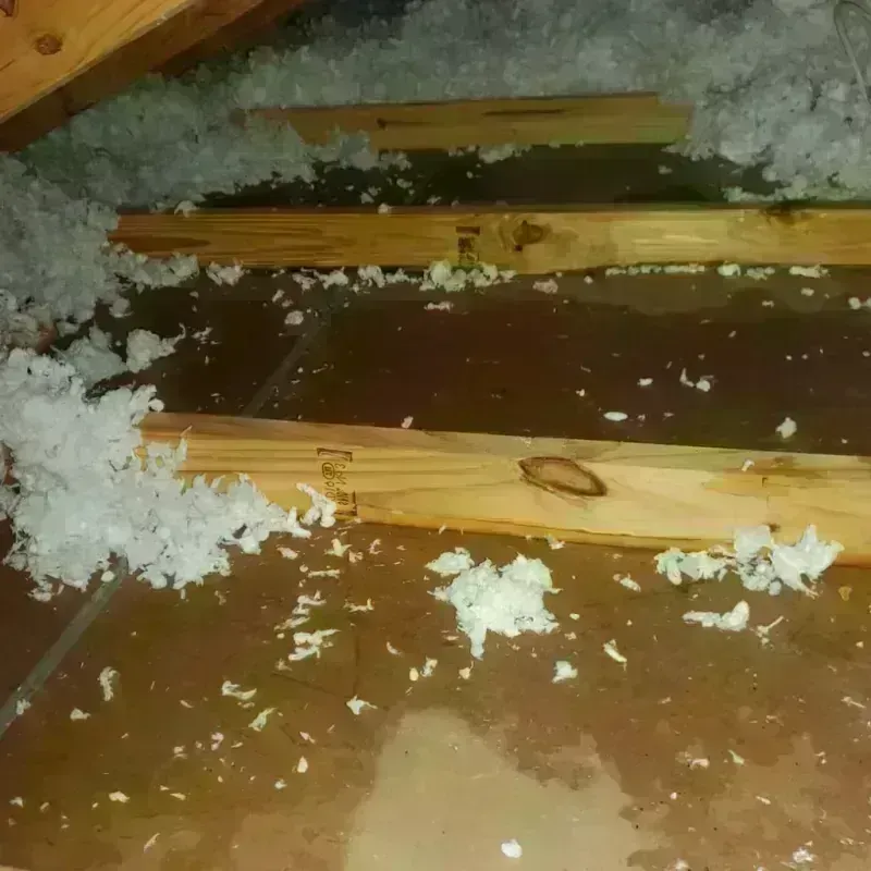 Attic Water Damage in Alexandria, AL