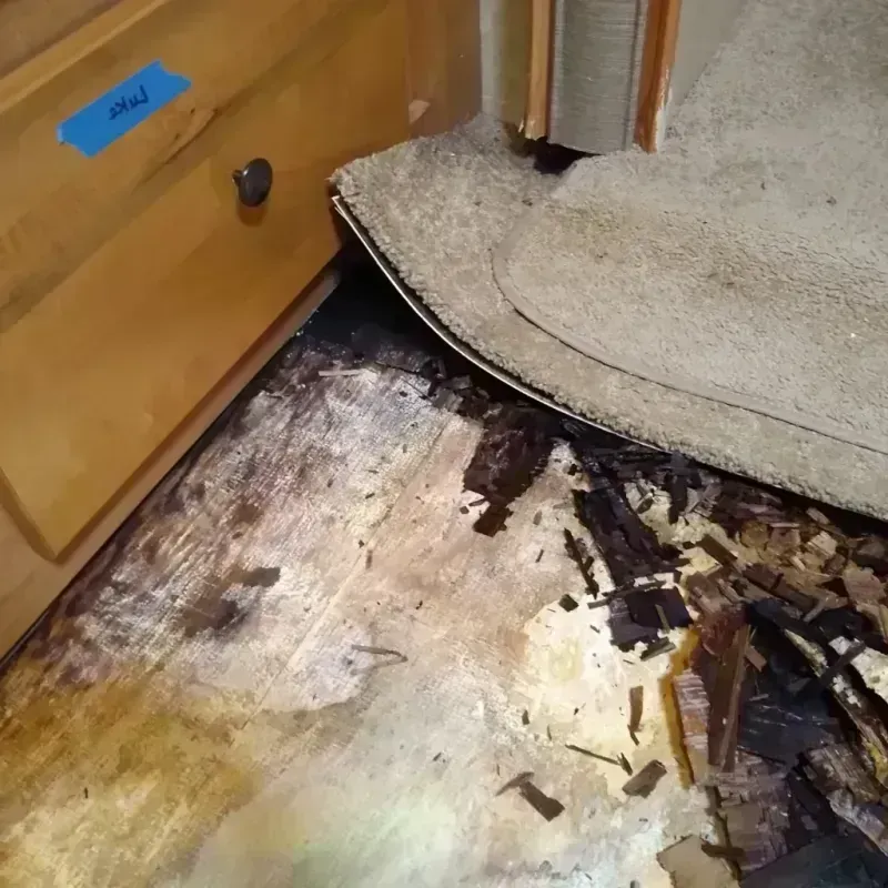 Wood Floor Water Damage in Alexandria, AL